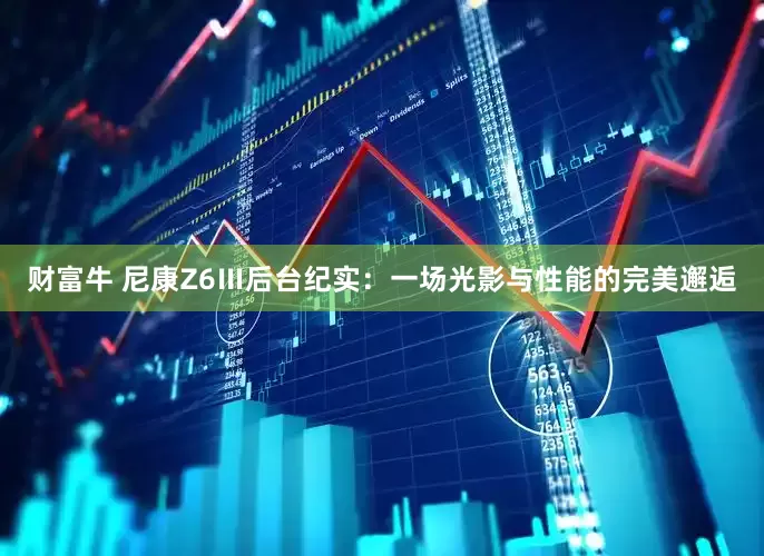 财富牛 尼康Z6Ⅲ后台纪实：一场光影与性能的完美邂逅