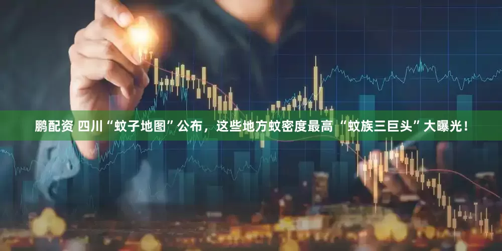 鹏配资 四川“蚊子地图”公布，这些地方蚊密度最高 “蚊族三巨头”大曝光！
