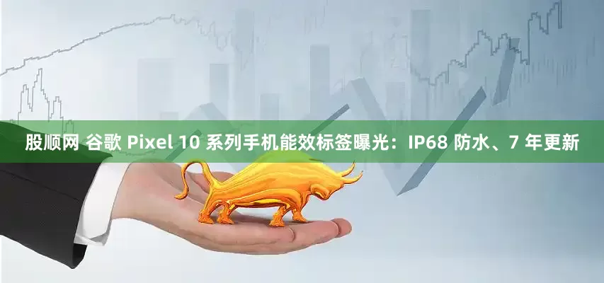 股顺网 谷歌 Pixel 10 系列手机能效标签曝光：IP68 防水、7 年更新