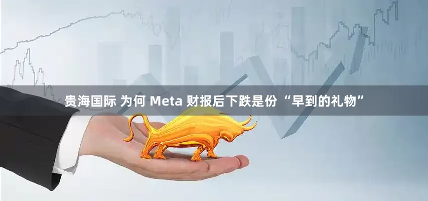贵海国际 为何 Meta 财报后下跌是份 “早到的礼物”