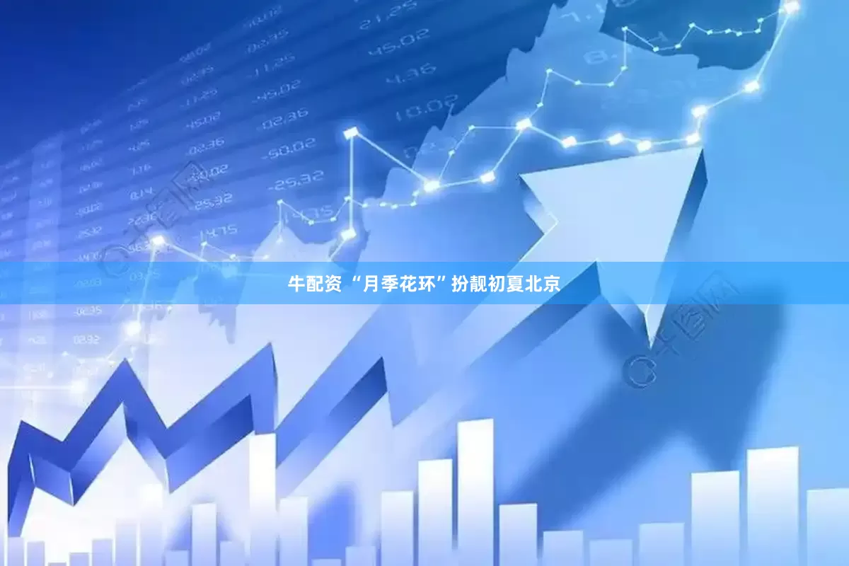 牛配资 “月季花环”扮靓初夏北京